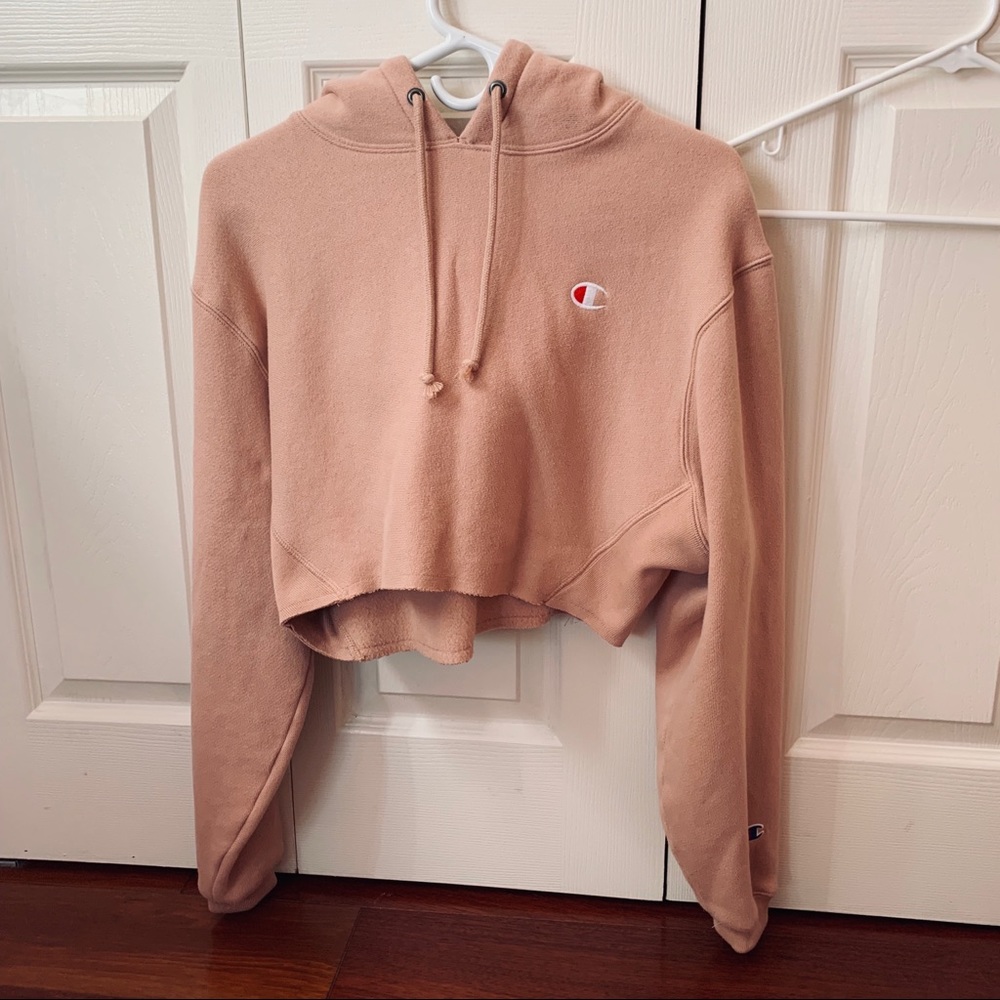 Champion Reverse Weave Cropped Hoodie